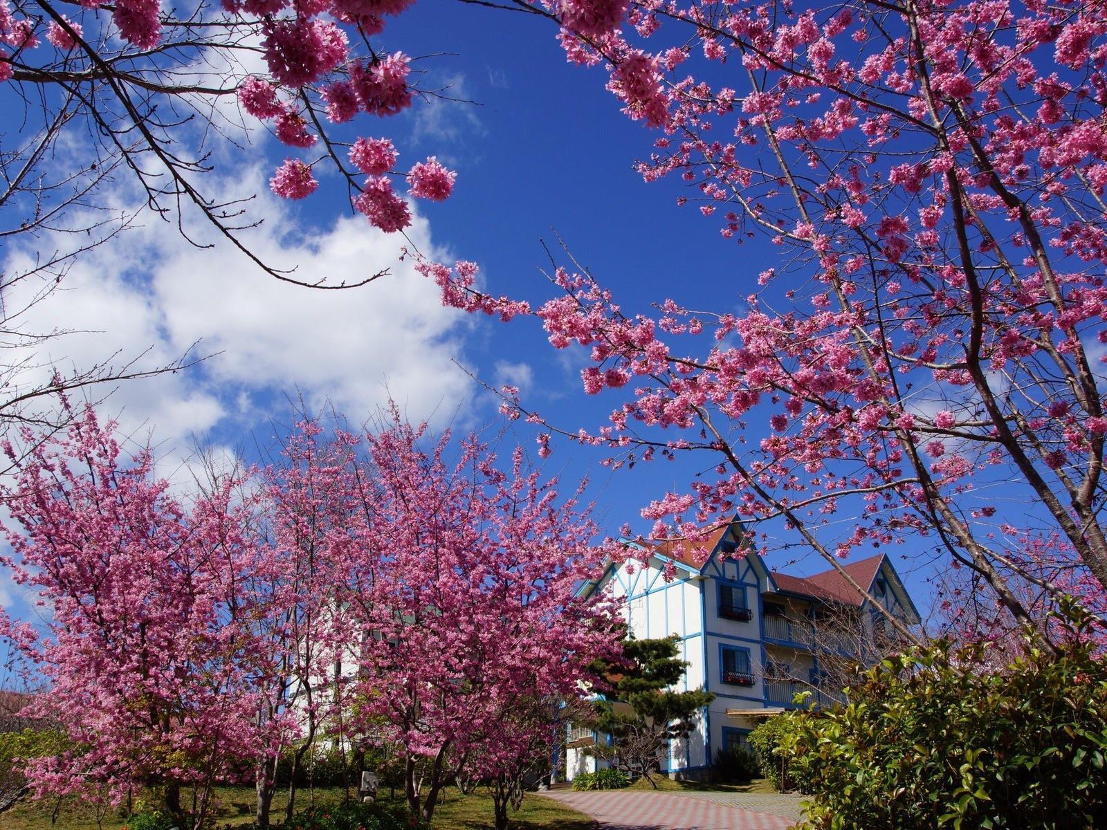 清境 百里莊園 Baili Manor Cing Jing Apartment Renai Exterior photo