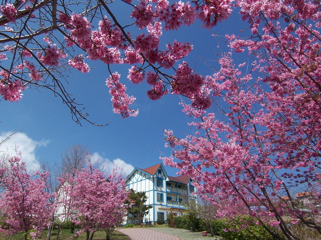 清境 百里莊園 Baili Manor Cing Jing Apartment Renai Exterior photo